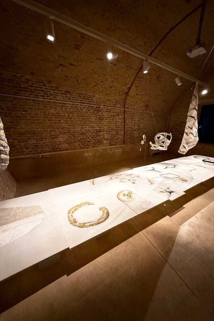Annamaria Atturo, installazione dal titolo "Il filo sottile in lontananza", presso il centro studi Mario Luzi per la poesia e le arti contemporanee, Montemaggiore al Metauro PU