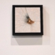 Annamaria Atturo, Unclassifiable, Palazzo delle Pietre Todi, Esposizione internazionale di arti visive contemporanee