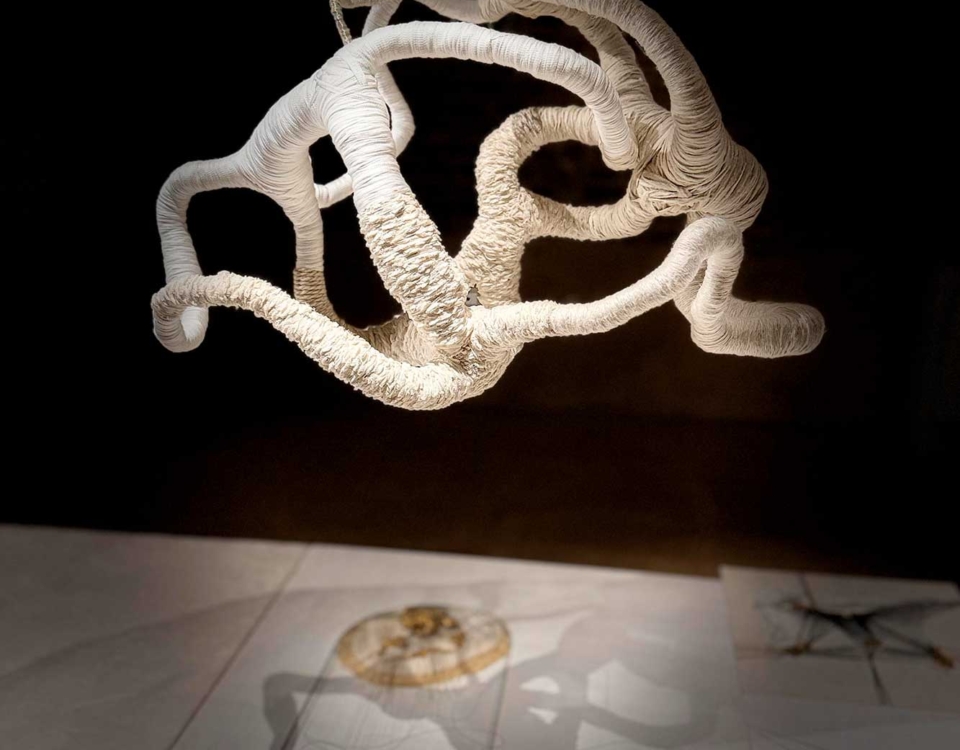 Annamaria Atturo, Il filo sottile in lontananza, Installazione site-specific, Centro studi Mario Luzi, Montemaggiore PU, 2026.