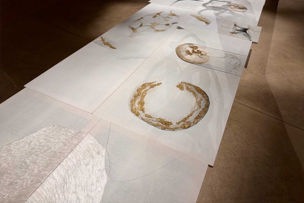Annamaria Atturo, installazione dal titolo "Il filo sottile in lontananza", presso il centro studi Mario Luzi per la poesia e le arti contemporanee, Montemaggiore al Metauro PU